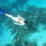 Accommodation On A Coral Island With Turquoise Sea