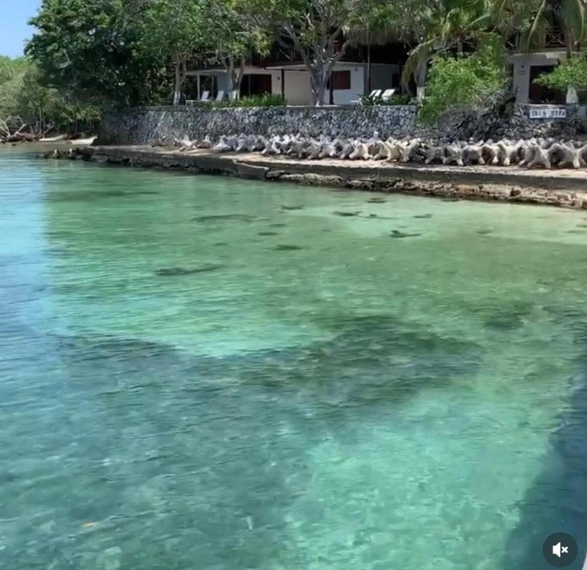 Holiday home Exclusivo Paraiso Caribeno En Islas Del Rosario *