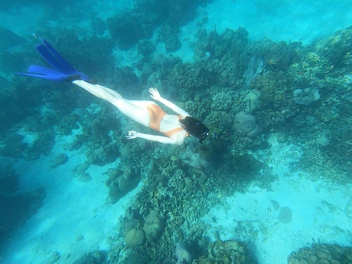 Exclusivo Paraiso Caribeno En Islas Del Rosario Cartagena