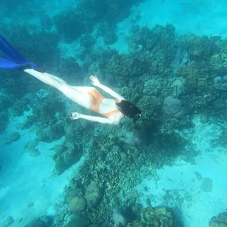 Exclusivo Paraiso Caribeno En Islas Del Rosario Cartagena